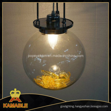 Graceful New Design Clear Glass Projection Light (Kam0327)